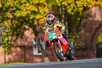 anglesey;brands-hatch;cadwell-park;croft;donington-park;enduro-digital-images;event-digital-images;eventdigitalimages;mallory;no-limits;oulton-park;peter-wileman-photography;racing-digital-images;silverstone;snetterton;trackday-digital-images;trackday-photos;vmcc-banbury-run;welsh-2-day-enduro